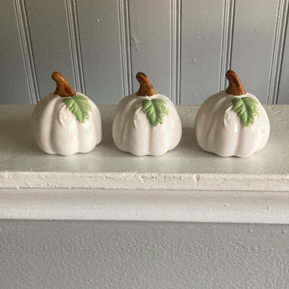 NWT- Set of 3- White- Green Leaf - Porcelain Glazed Fall Pumpkin Decorations 🍂 - Picture 8 of 16
